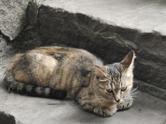 -五凤溪古镇