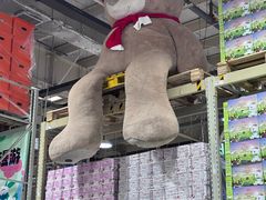 -麦德龙(郑东店)