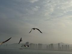 -刘公岛景区
