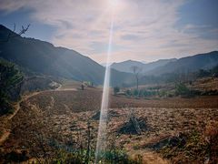 -王顺山国家森林公园