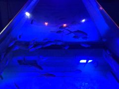 -海味当家·蒸锅海鲜(星海公园店)