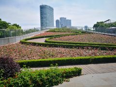 -北外滩滨江绿地