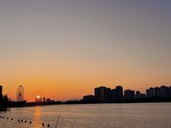 -飞来湖湿地公园