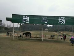 -保利石象湖景区