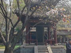-碑林公园