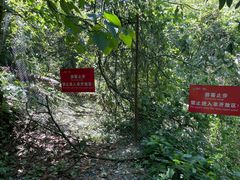 -西岭雪山大飞水景区