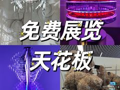 -中华艺术宫