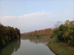 -上海海湾国家森林公园