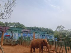 -昆明动物园