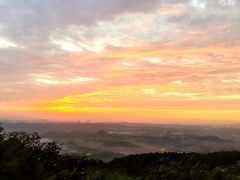 -铁山坪森林公园