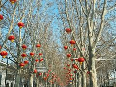 -河南省黄河迎宾馆