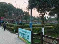 -洪湖家庭农场·团建·露营·会议