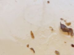 -大鸭梨烤鸭(金色漫香店)