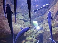 -多彩贵州城极地海洋世界