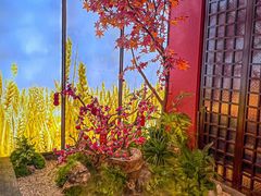 -烹湘·鲜炒湖南土菜(海珠店)