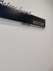 -演员的秘密·皮肤管理