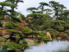 -罗红摄影艺术馆