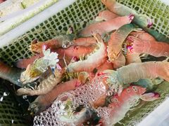 -外伶仃岛海鲜市场