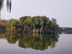 -大兴滨河森林公园