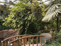 -忆江南·生态餐饮宴会酒店