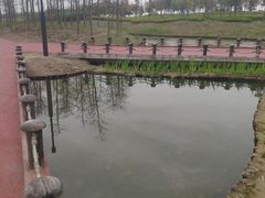 -春花秋色城市公园