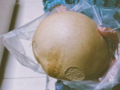 -白玉兰食品(甜云店)