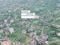 -枸杞岛