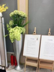 -熙朵美学植发·连锁品牌