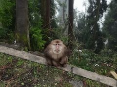 -太阳湾风景区