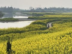 -两河城市森林公园