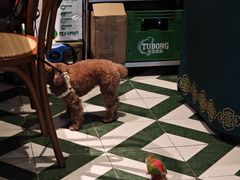 -Thai Basil罗勒叶泰式餐厅(时代天街店)