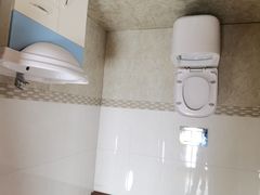 -金山农民画村-枫泾波兰倒置屋