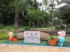 -野狸岛