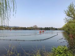 -西湖外事游船(花港观鱼码头)