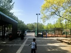 -东升文体公园