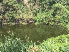 -火炉山森林公园