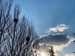 -大兴滨河森林公园