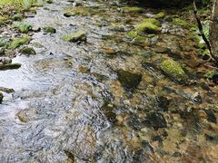 -本溪老边沟风景区