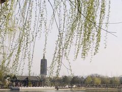 -西海子公园