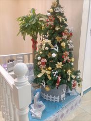 -紫洁俪方（北京）医疗美容