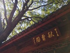 -秋霞圃