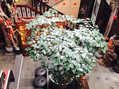 -普洱茶府(博乐广场店)