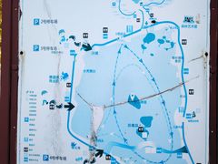 -武清南湖绿博园