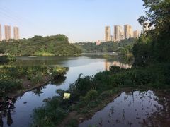 -重庆彩云湖湿地公园