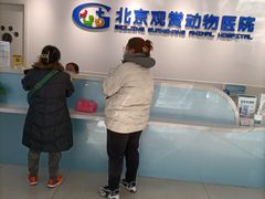 -北京观赏动物医院·24小时大型综合·猫专科·异宠专科