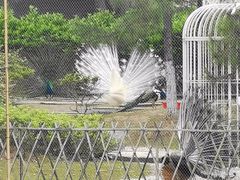 -武汉园博园(武汉自然博物馆)