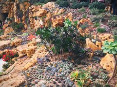 -南通洲际绿博园