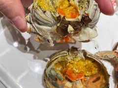 -杨氏青龙虾·羊蝎子(托乐嘉店)