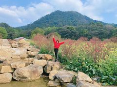 -广州市石门国家森林公园