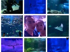 -暹罗海洋世界